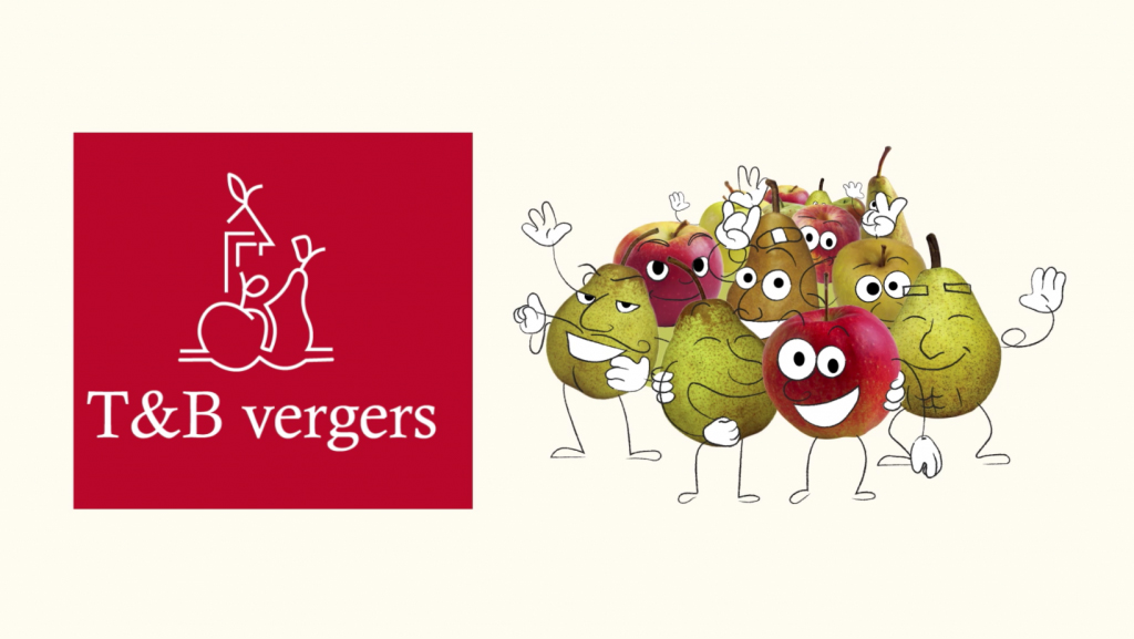 Ilustração de várias maçãs e peras com rostos desenhados sorrindo de uma lado da tela, e do outro, a logo T&B Vergers
